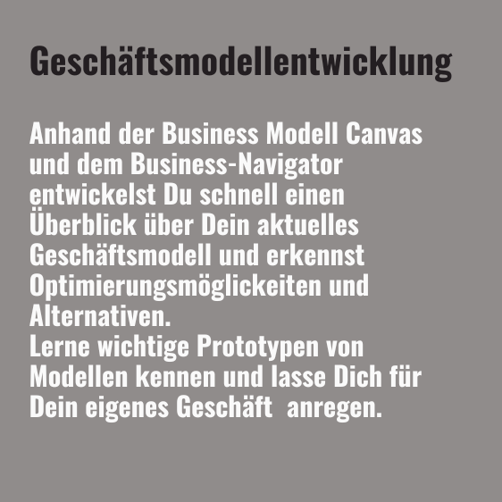 Geschäftsmodell Entwicklung Text